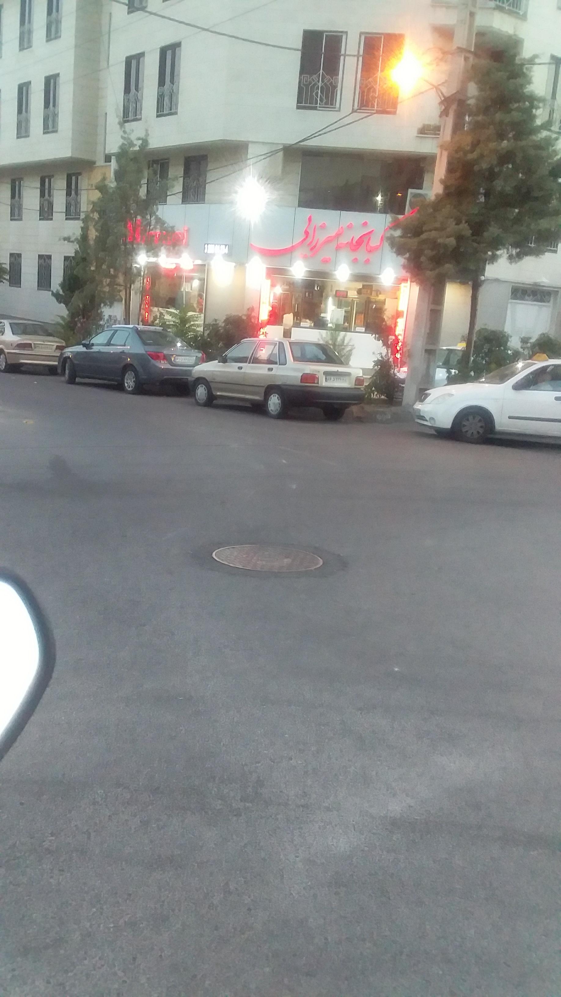 رستوران میرزایی