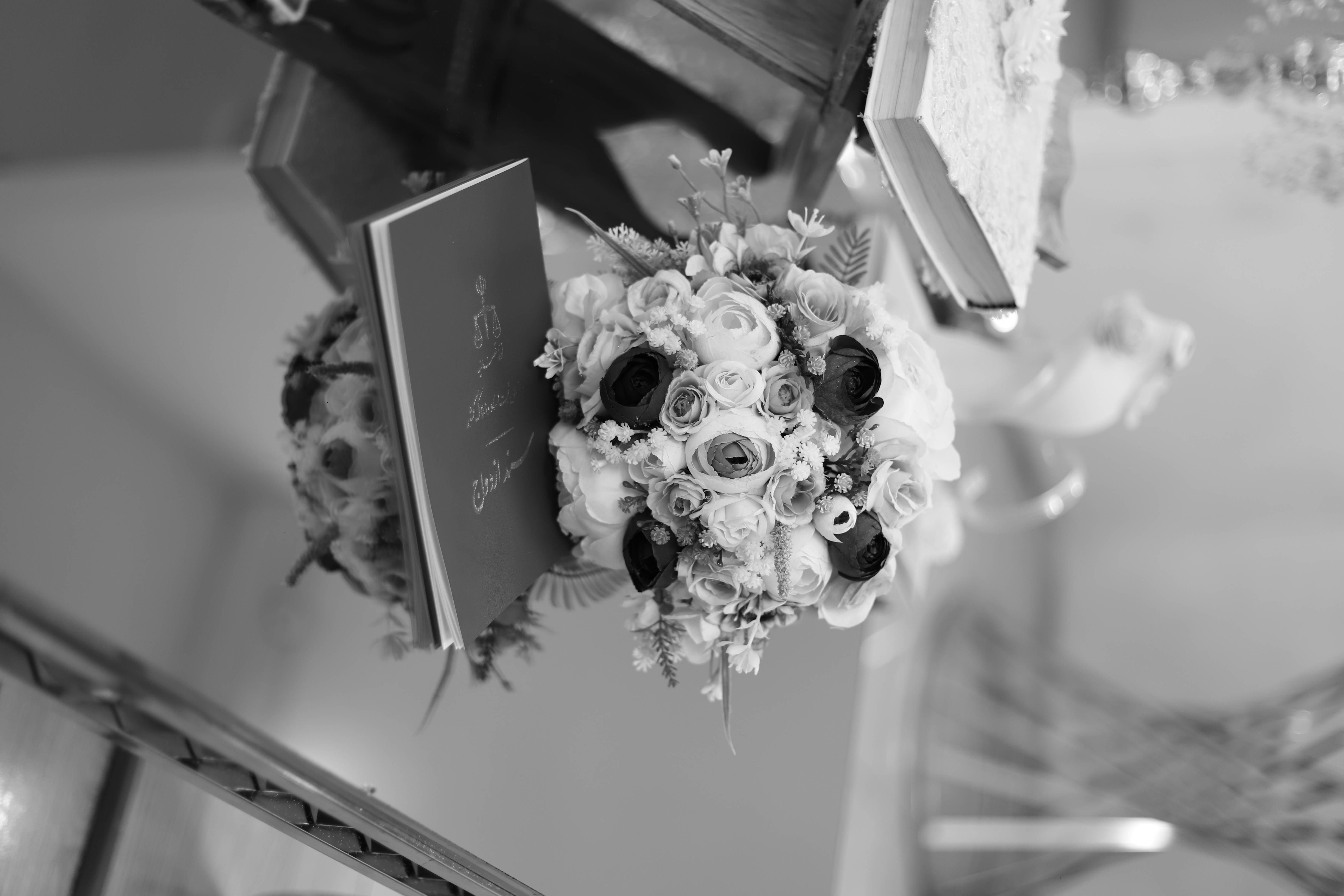 عکاسی نیمرخ