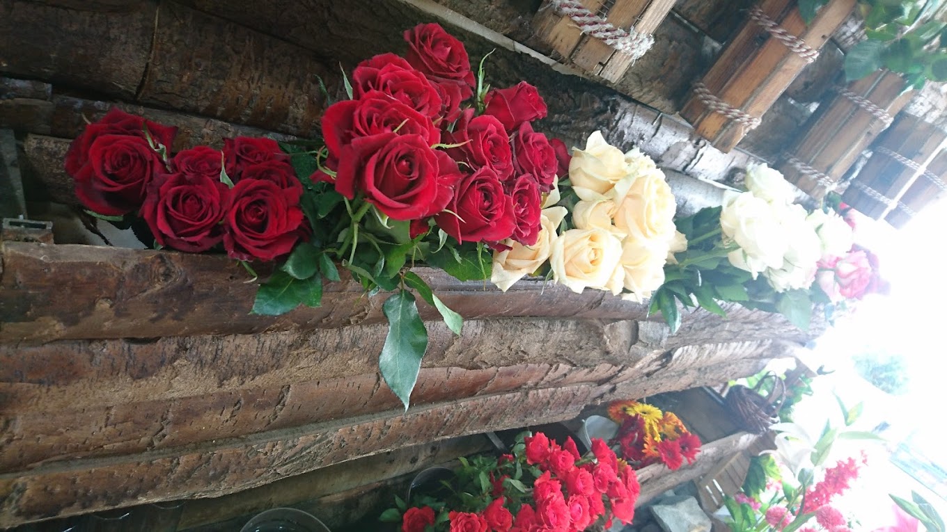 گلفروشی لوتوس