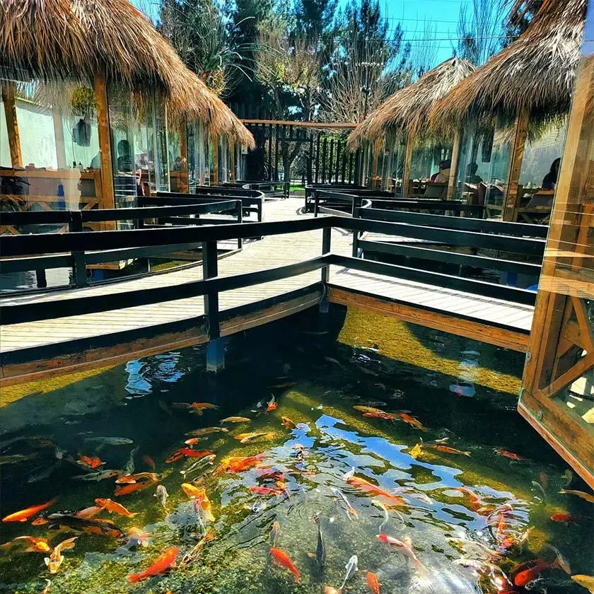 کافه رستوران برکه