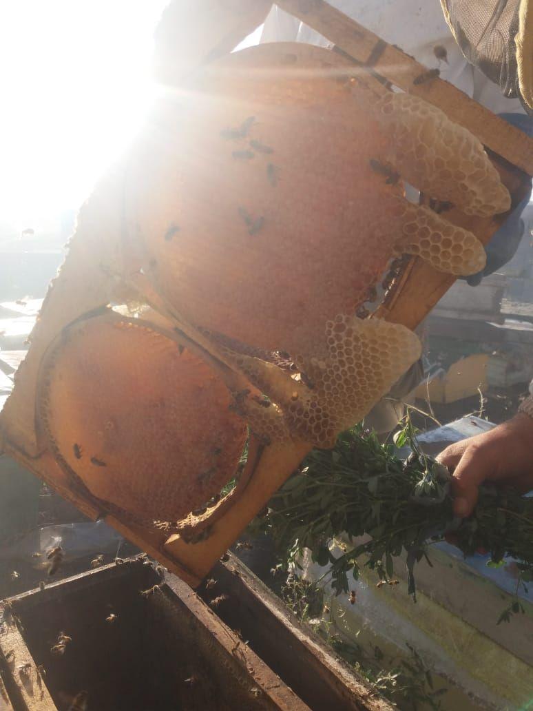 عسل و خشکبار لوکس تبریز