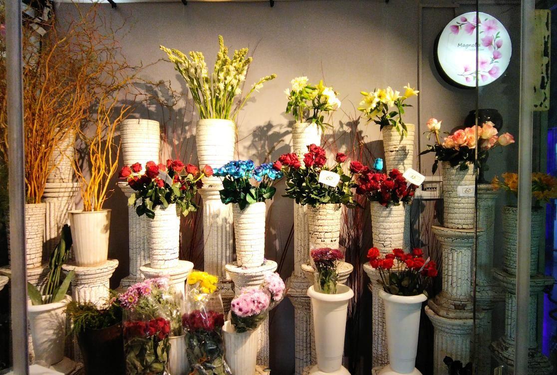 قصرگل مگنولیا