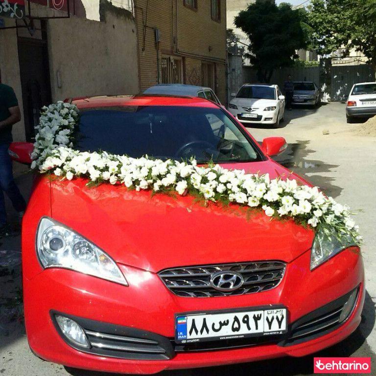 گلفروشی امالیس