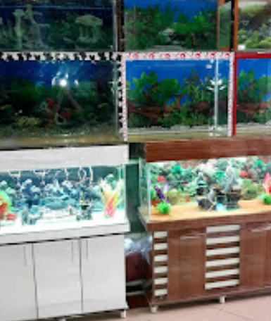 آکواریوم پرشین