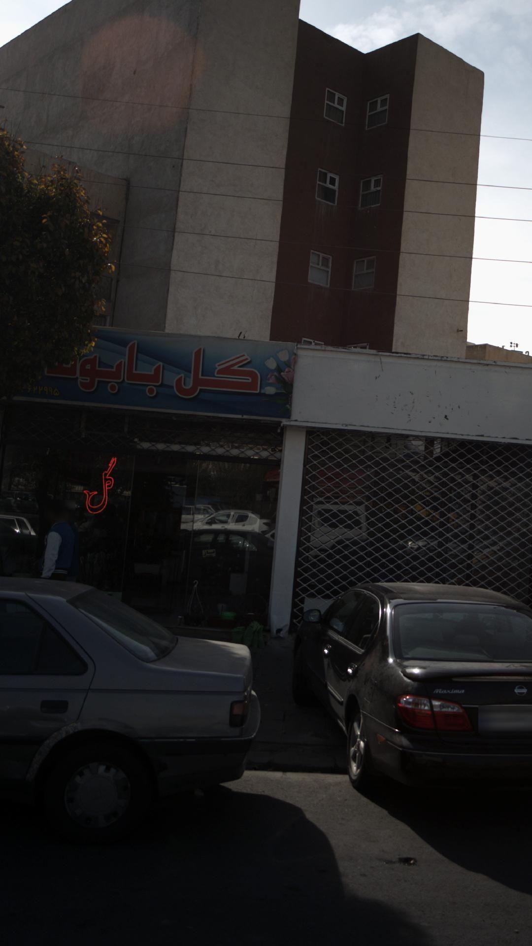 گل بابونه