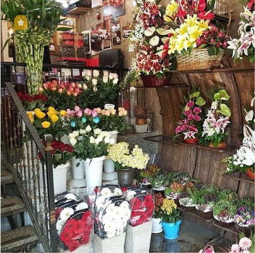 گل فروشی اسپرینگ
