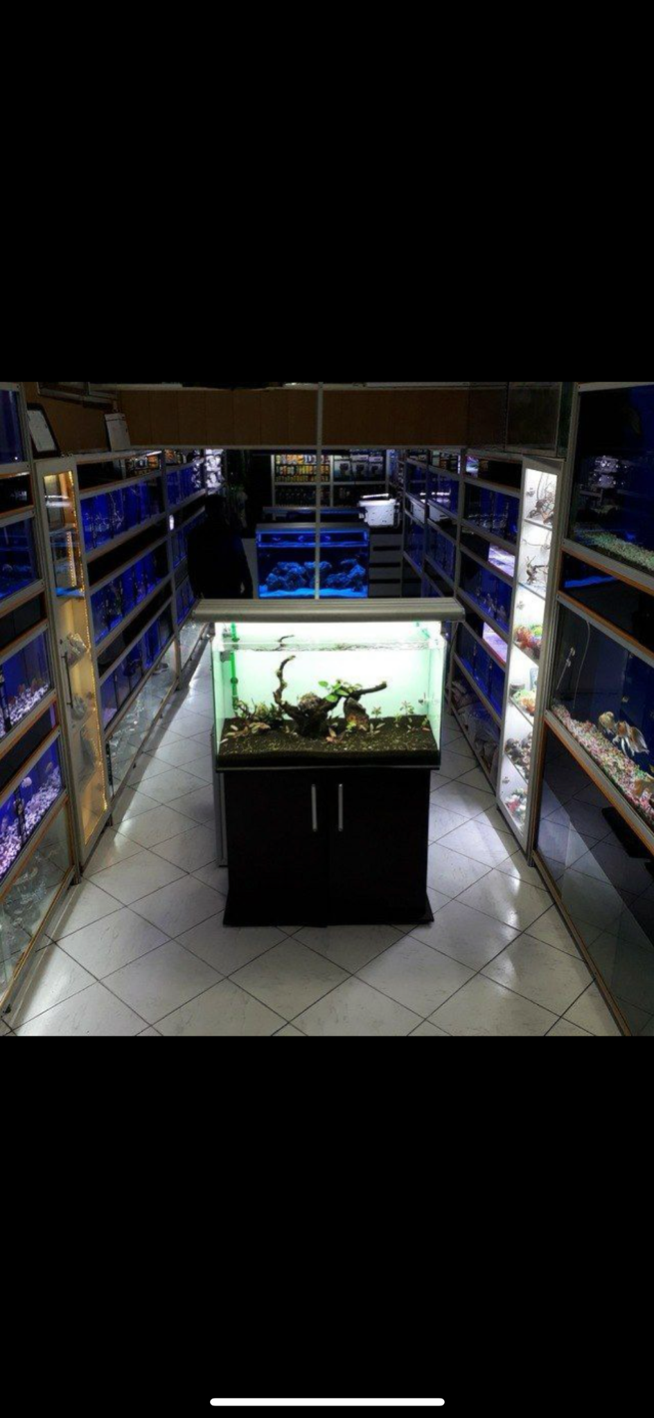 نمایشگاه و فروشگاه آکواریوم مامیران