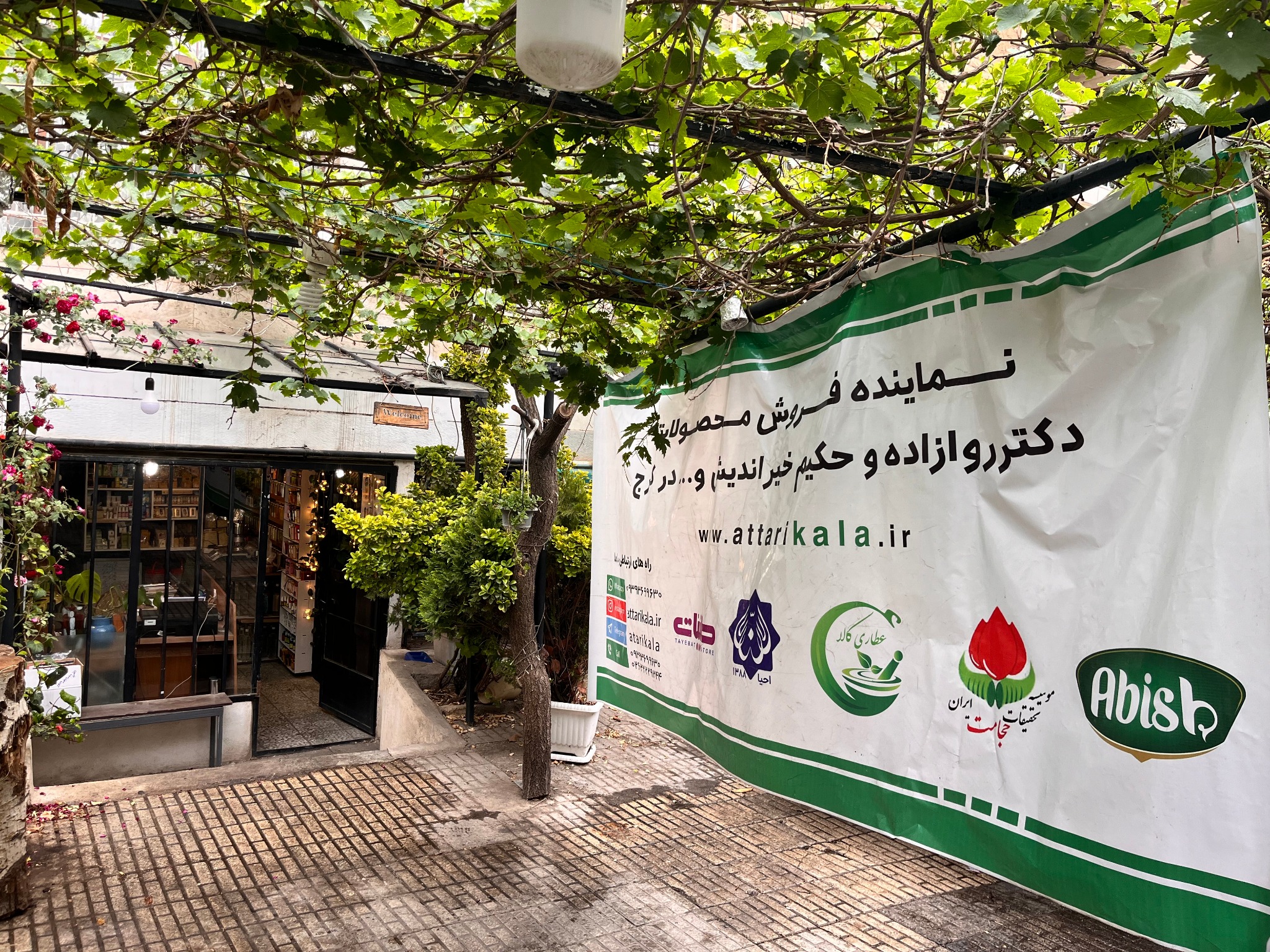 نمایندگی رسمی دکتر روازاده در کرج