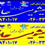 قالیشویی حافظ