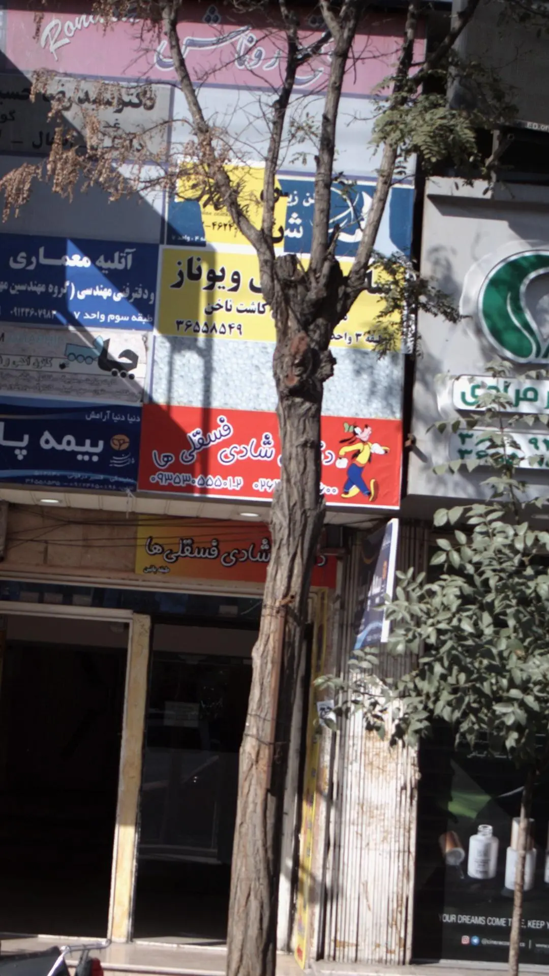 دنیای شادی فسقلی ها