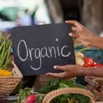 چیکچی فروش اینترنتی برنج ایرانی بابابزرگ