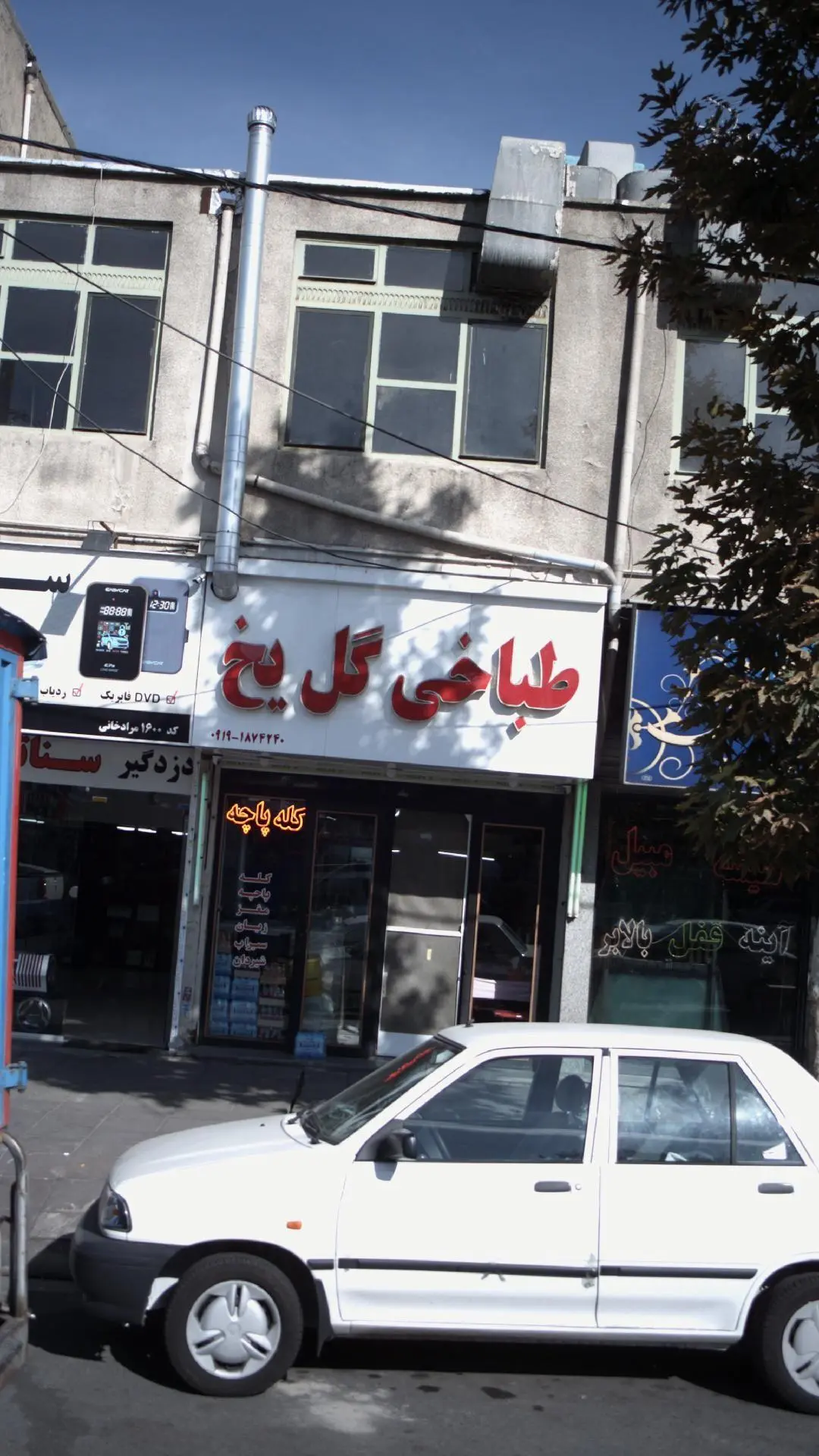طباخی گل یخ