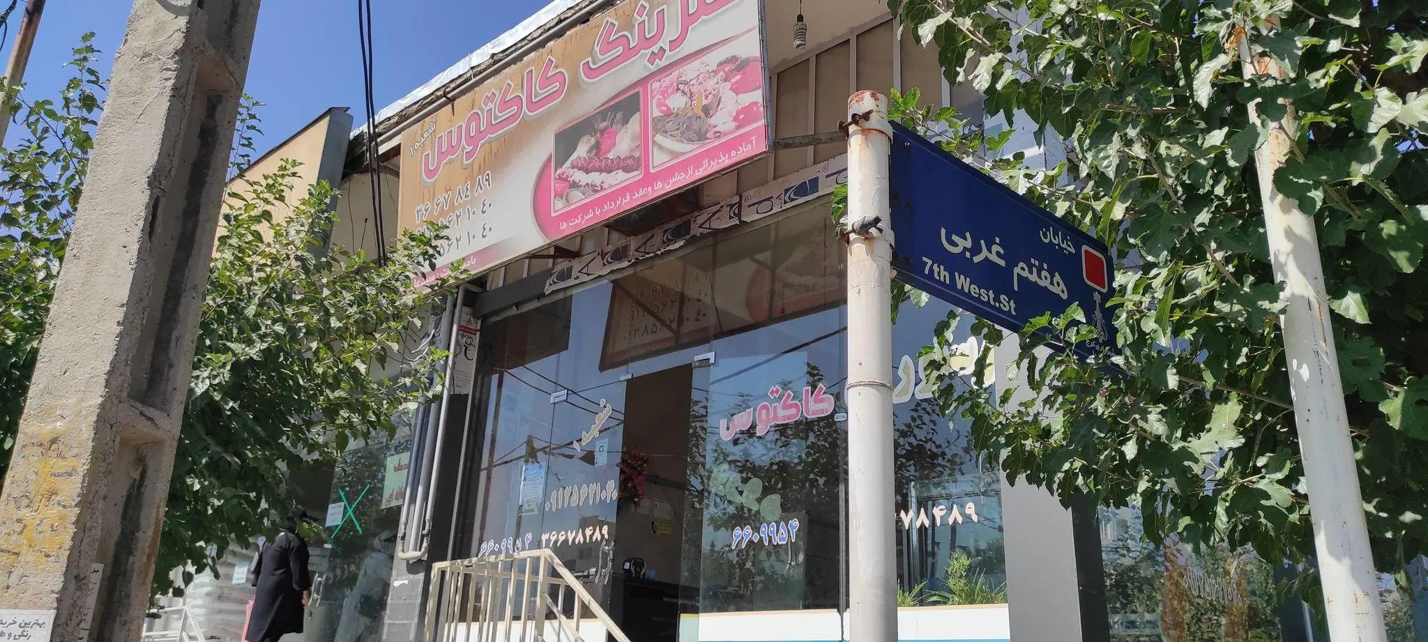 کترینگ کاکتوس