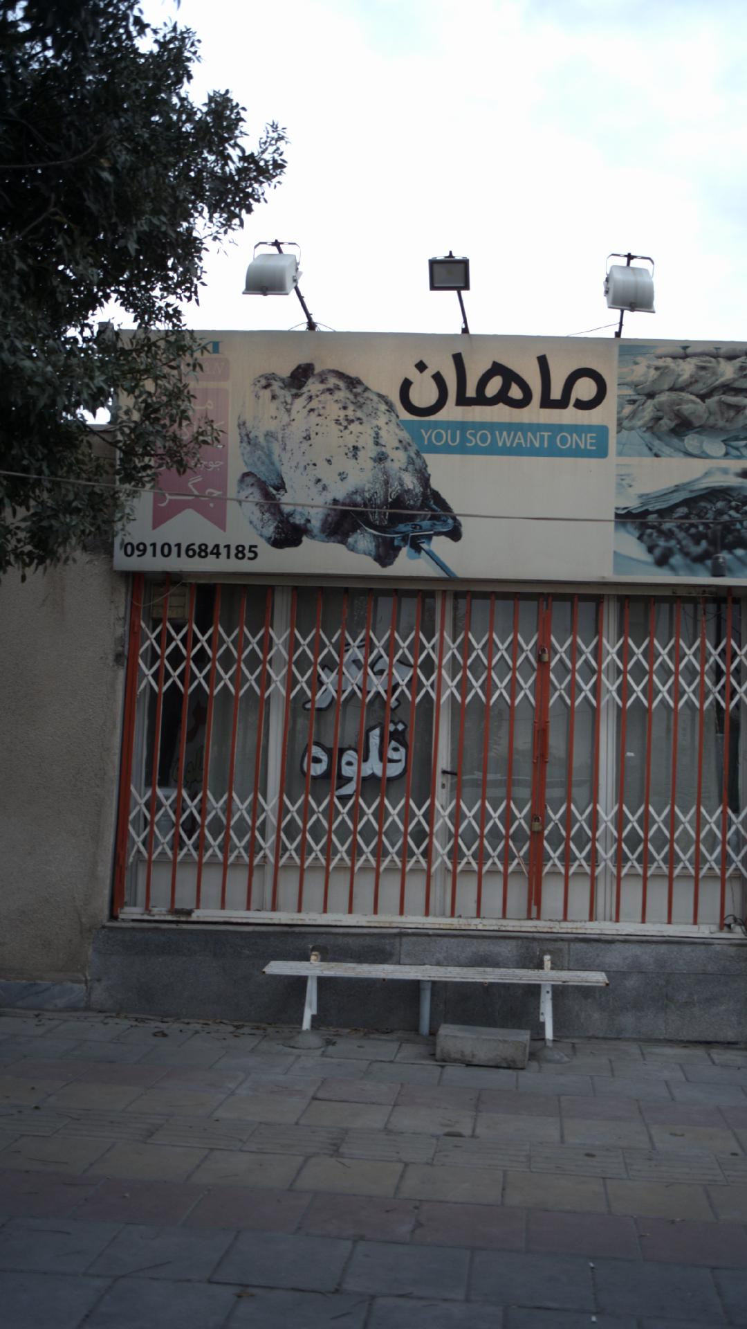 جگرکی ماهان