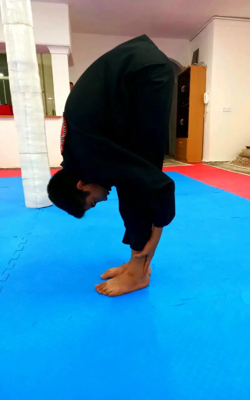 باشگاه سردار