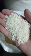 پخش انواع برنج ایرانی وحبوبات عمده وجزئی