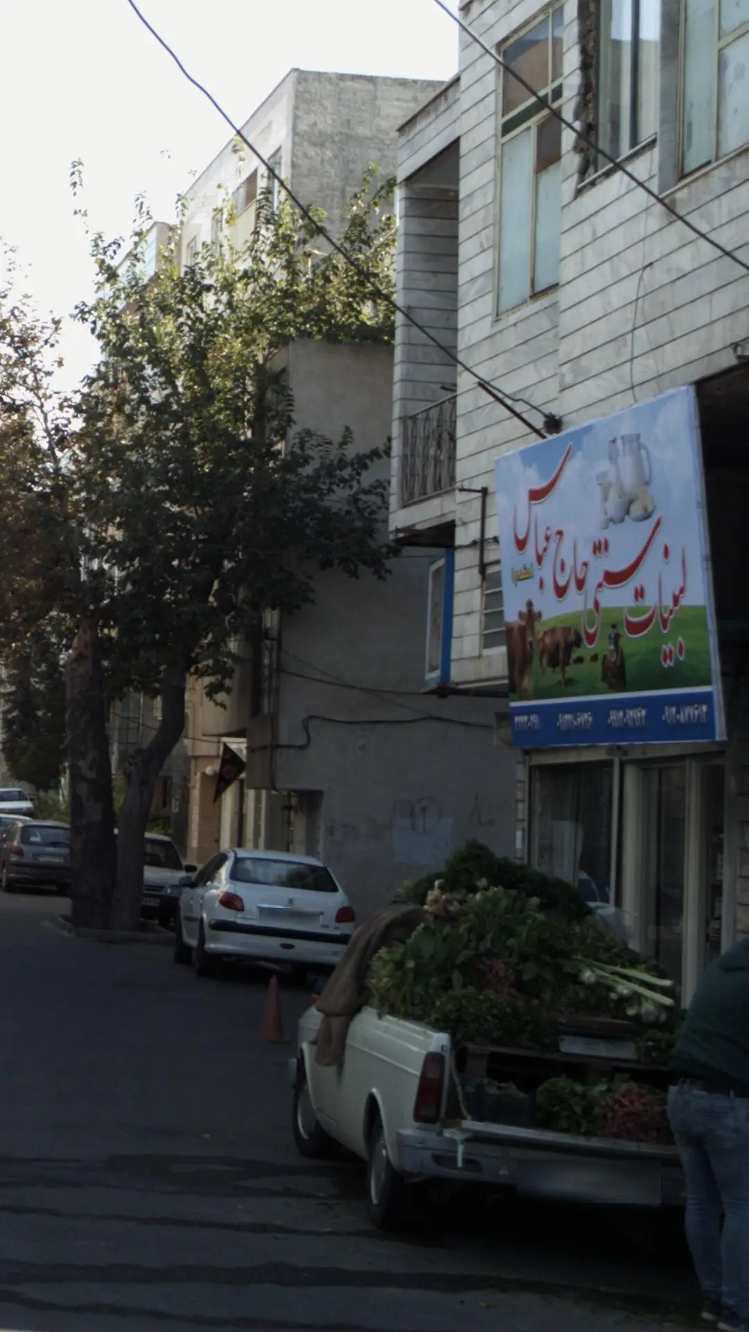 لبنیات سنتی حاج عباس