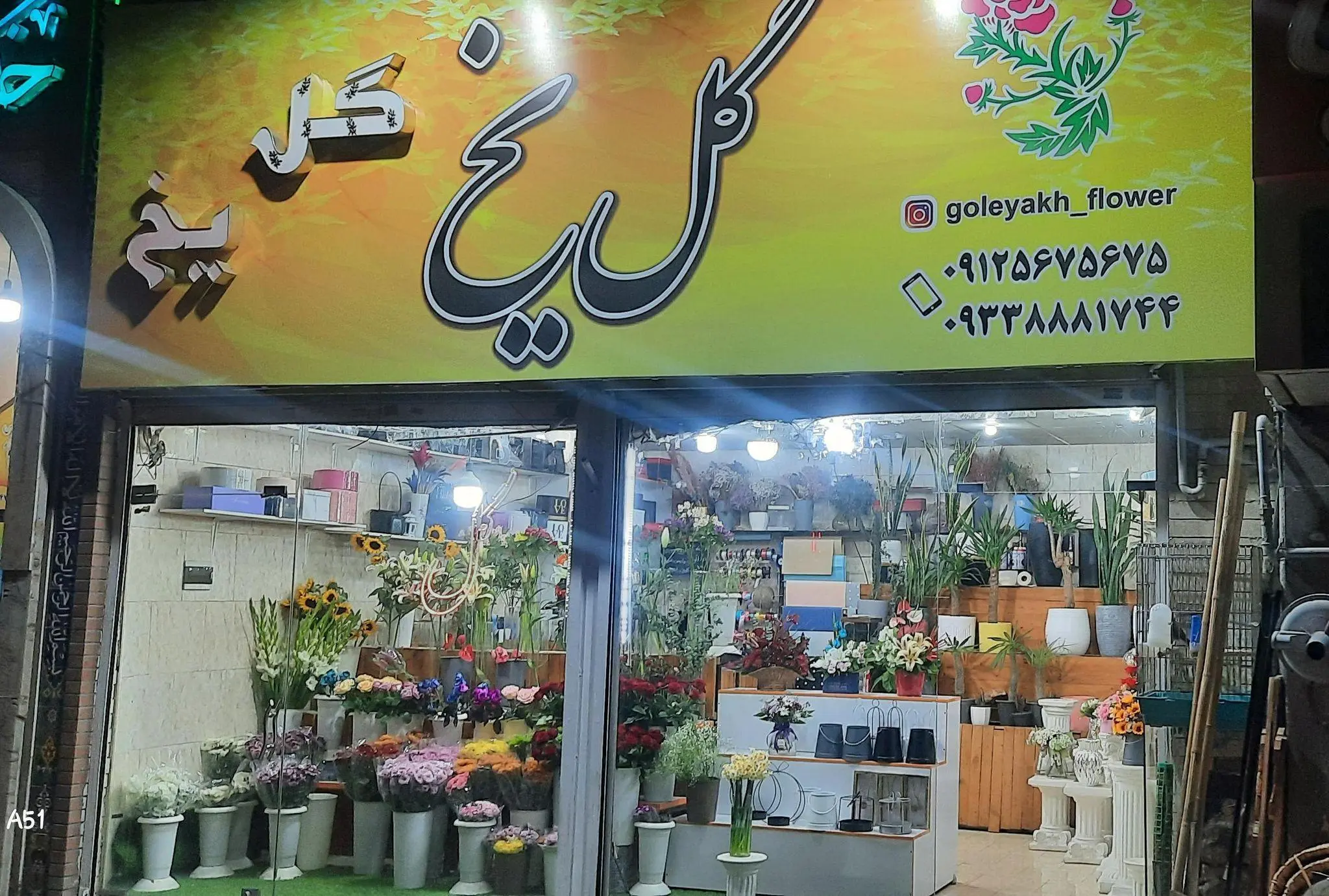 گل یخ