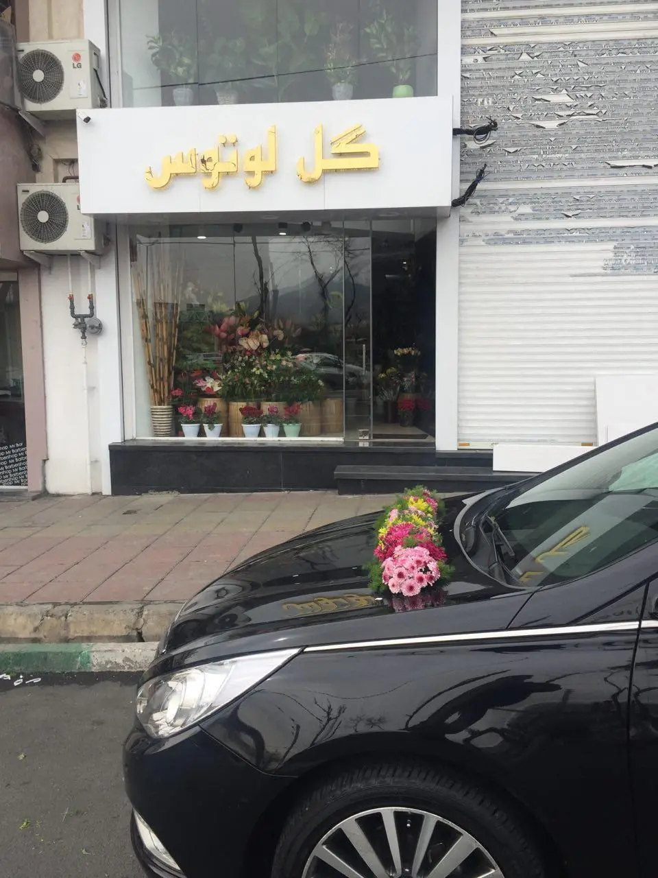 گل فروشی لوتوس