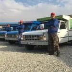 دفتر قالیشویی مصباح