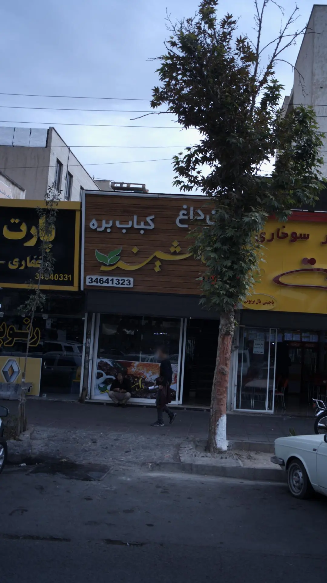 کباب بره دل نشین