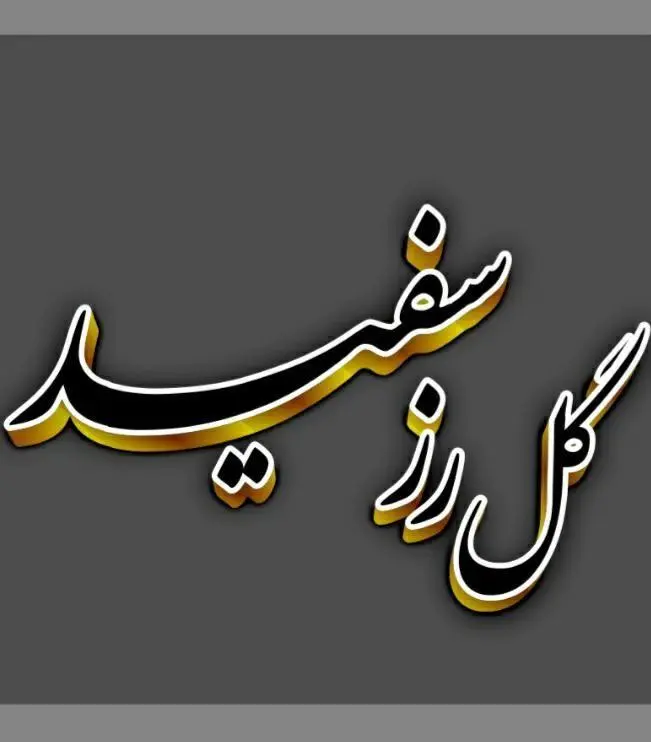 گل رز سفید