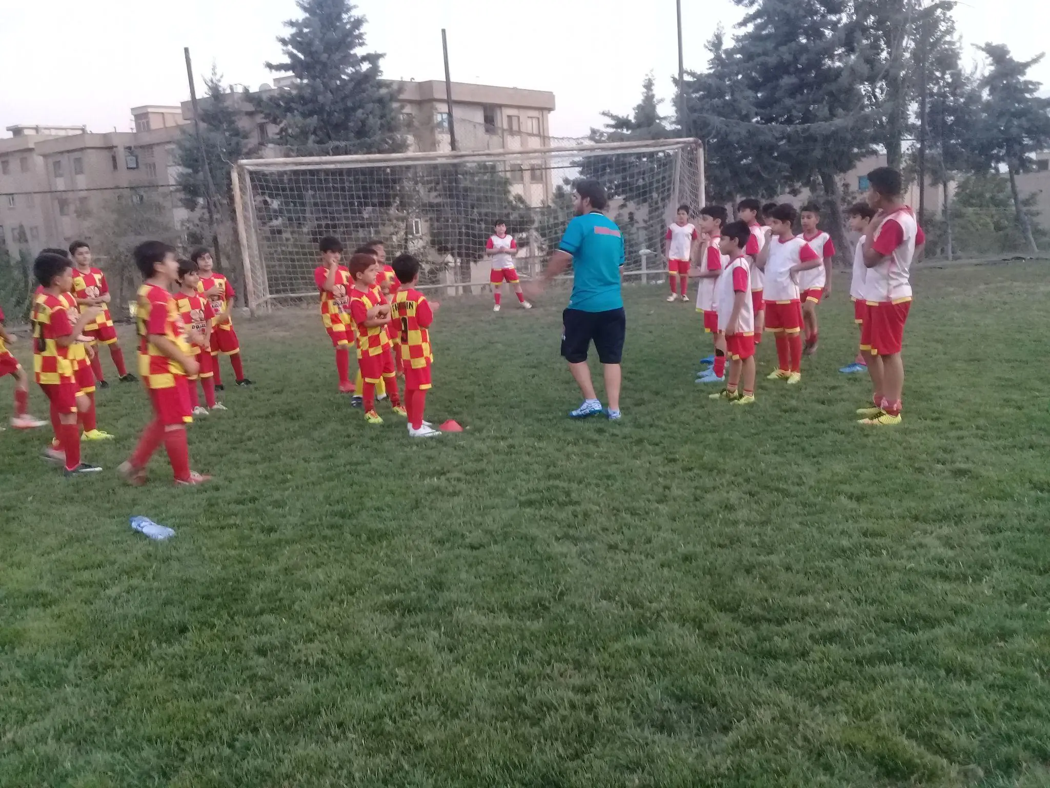 مدرسه فوتبال شاهین سرخ