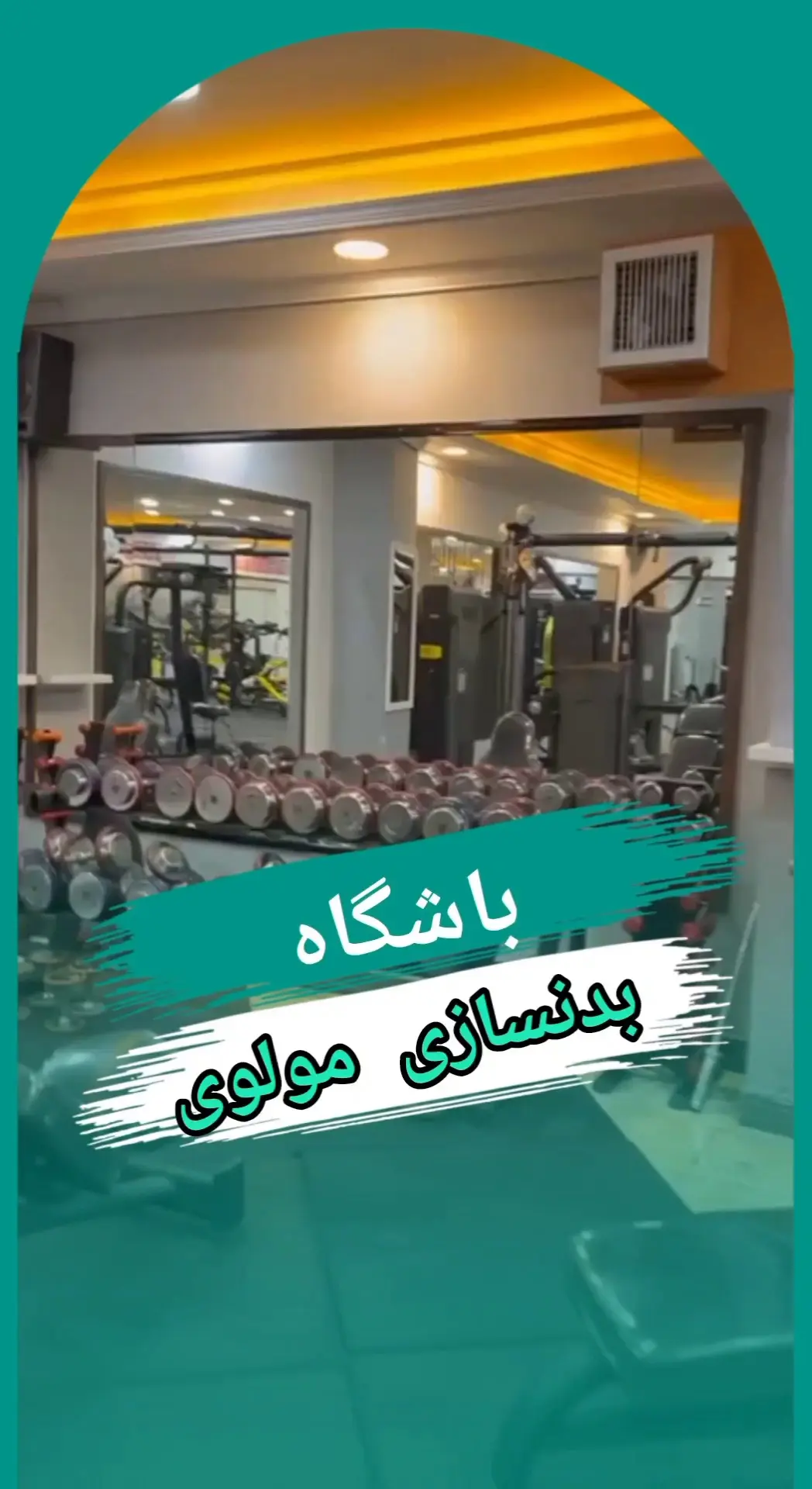 باشگاه ورزشی پرستو نورمحمدی