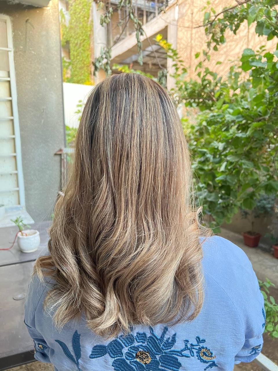 خدمات  رنگ و لایت و بوتاکس مو