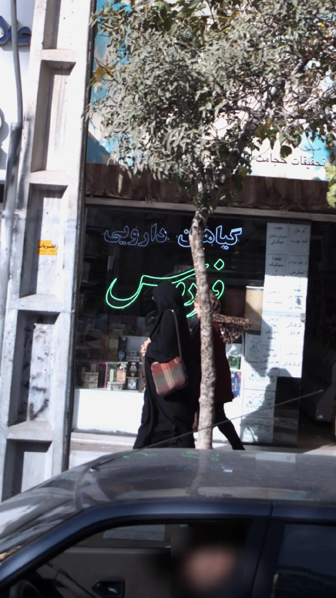 گیاهان دارویی فردوس