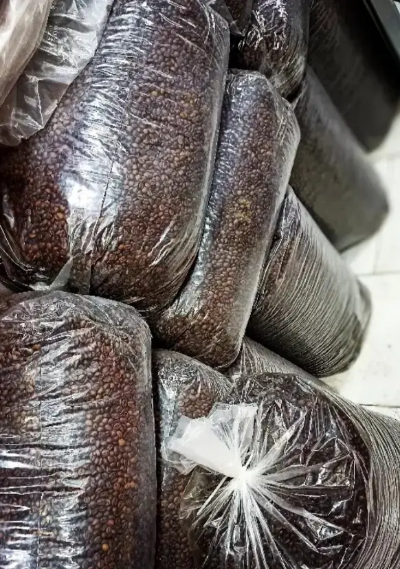 پخش قهوه کلاسیک مرشدی