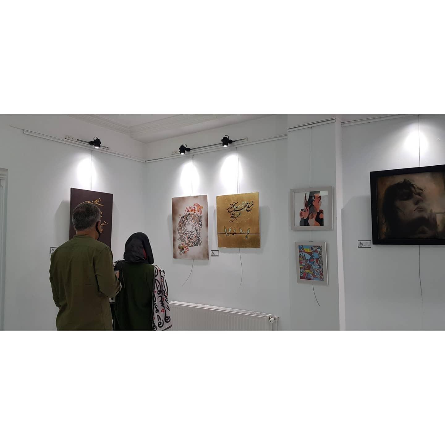 گالری مه و ماهی