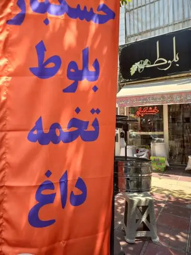 آجیل و خشکبار بلوط