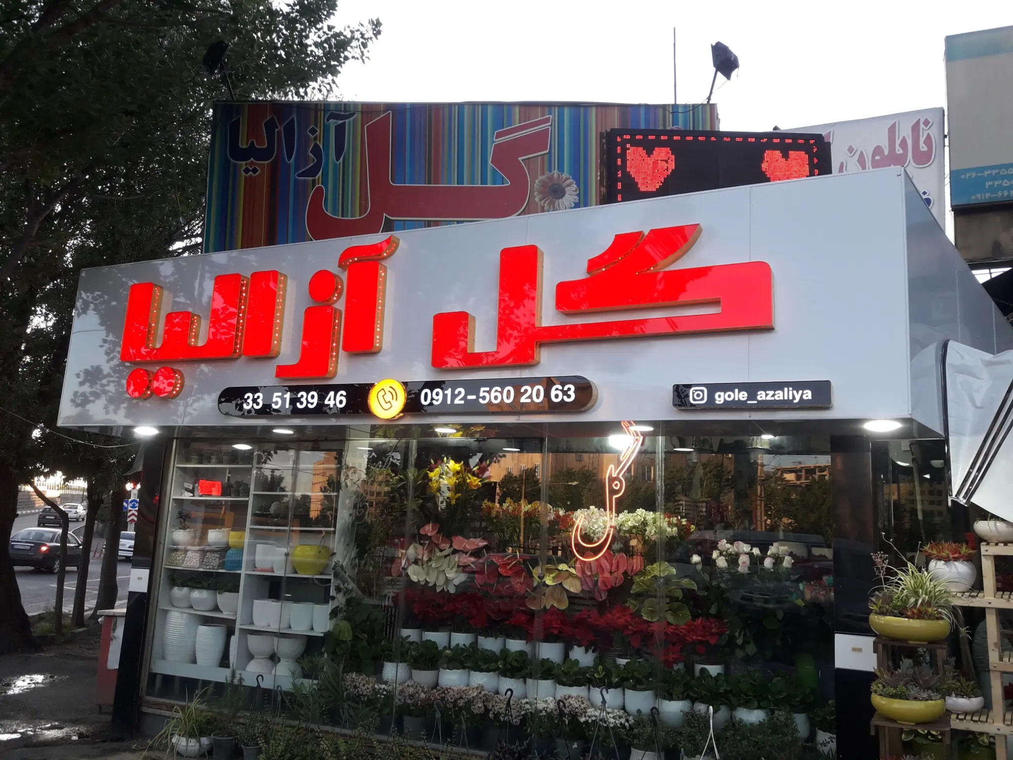 گلفروشی ازالیا