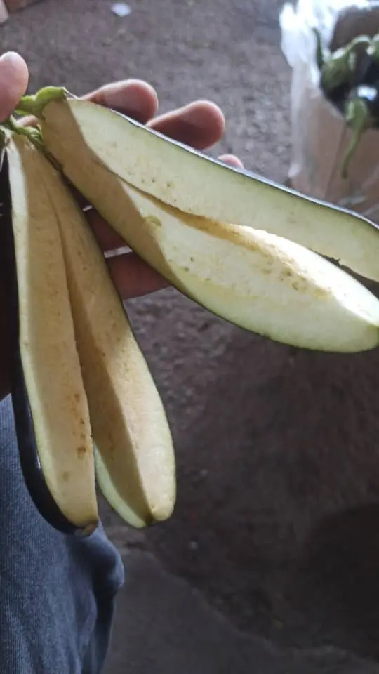 سبزیجات آماده خانگی  دهکده سبزی