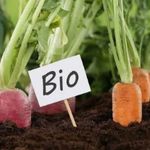 فروشگاه کشاورزی نوژا