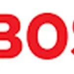 بوش هیتاچی
