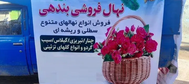 نهال فروشی بندهی