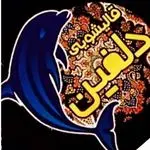 کارخانه قالیشویی و مبل‌شویی دلفین کرج
