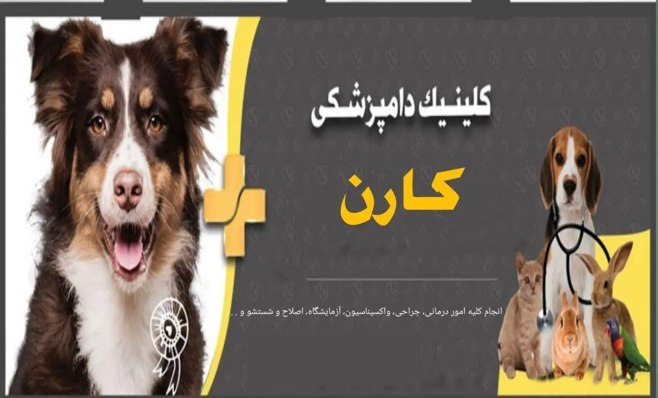 کلینیک تخصصی دامپزشکی کارن