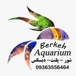 آکواریم برکه کرج