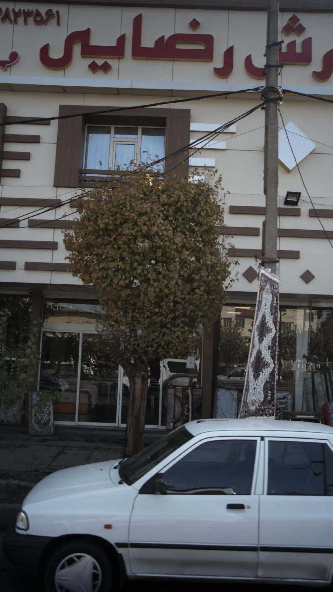 فرش رضایی