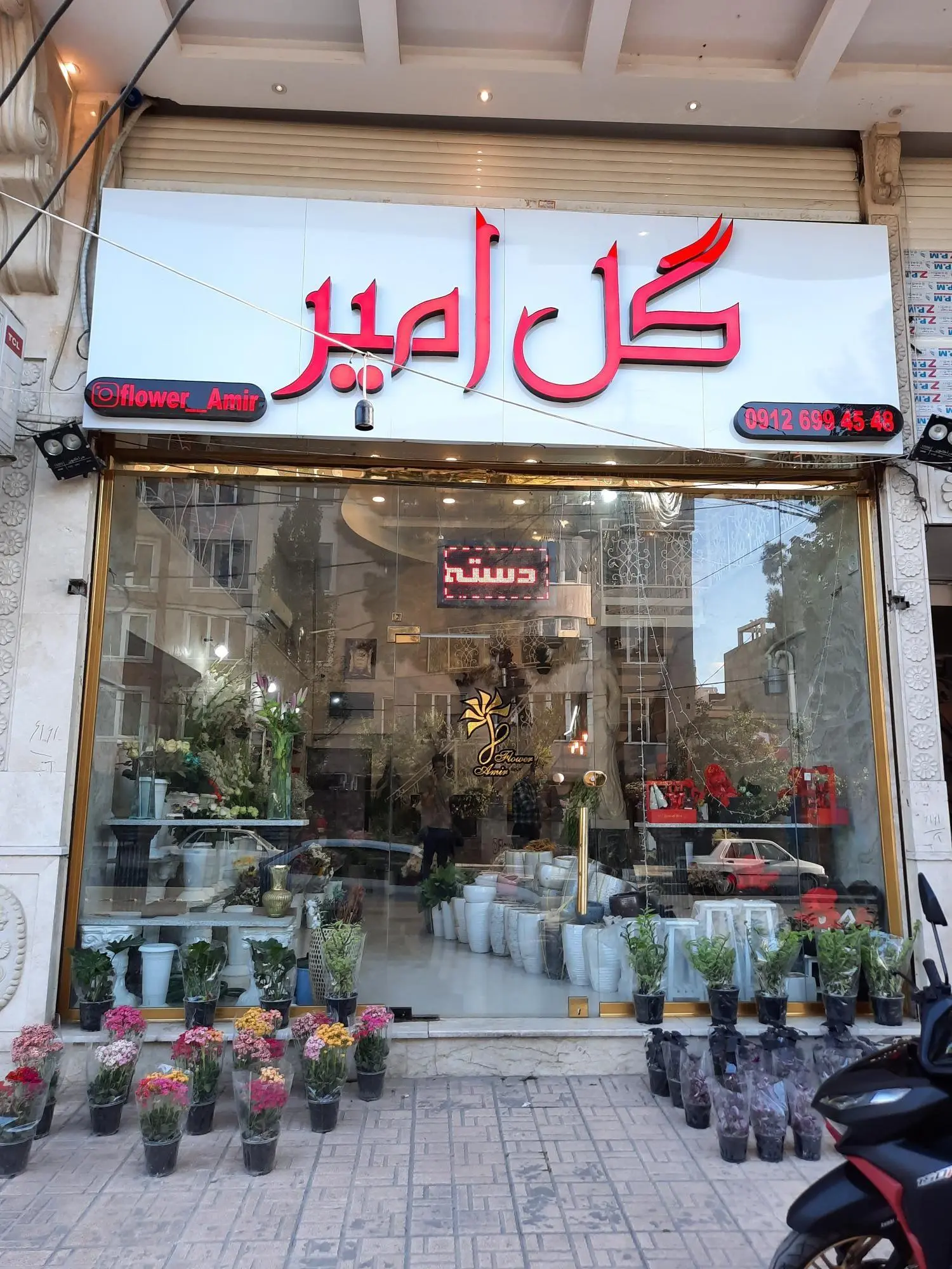 گل امیر