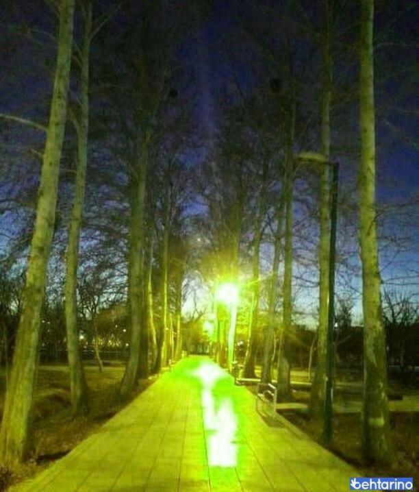 پارک خانواده