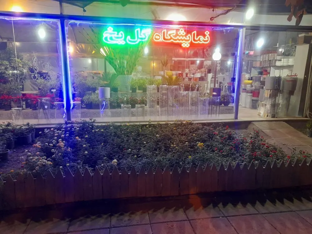 نمایشگاه گل یخ