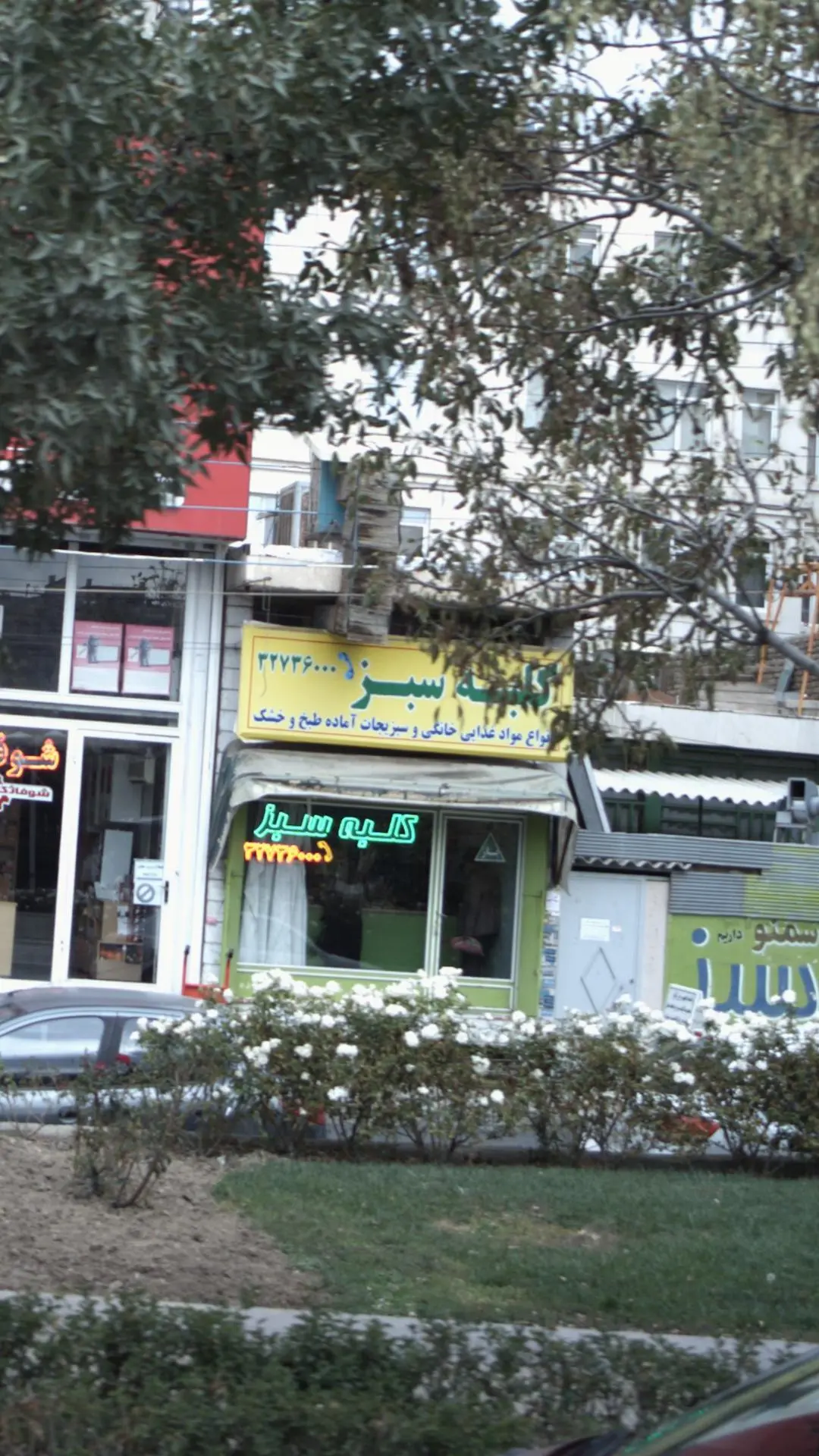 کلبه سبز