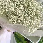 گلکده باران