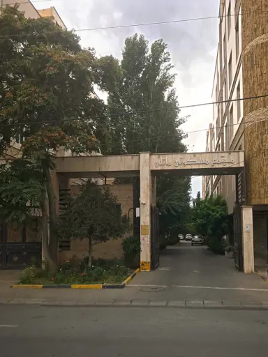 مجتمع مانلی