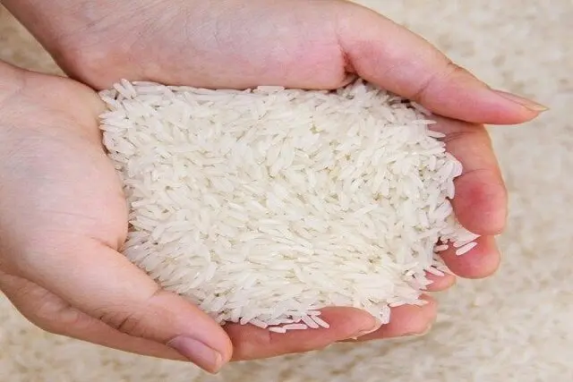 برنج نمونه