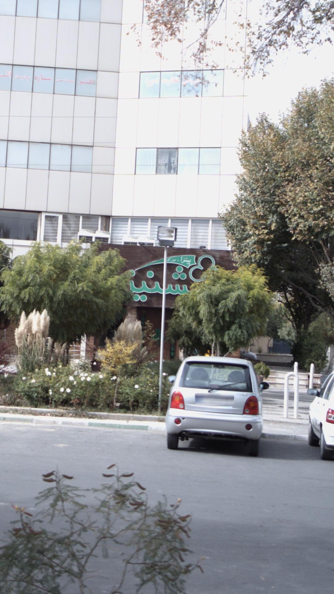 پیتزا,برگر گشنیز